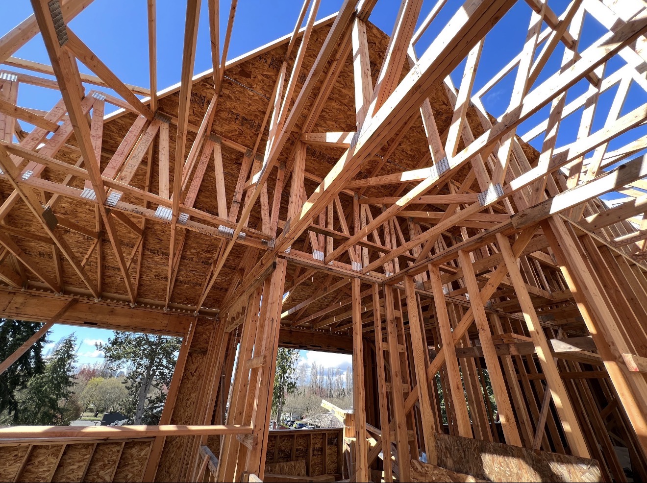 Interior view of roof trusses and framing during construction
